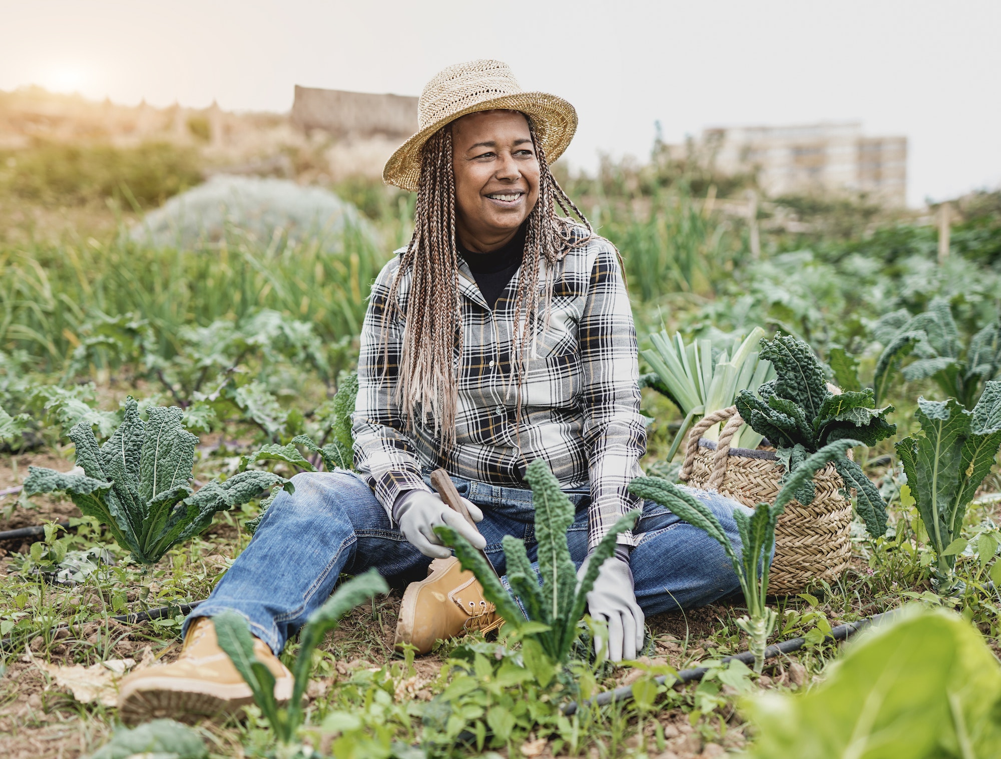 African senior woman gardening - Happy black person enjoy the harvest period